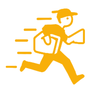 Express Courier Service